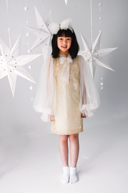 Girls Bishop Tulle Long Sleeve Lace Dress With Detachable Brooch