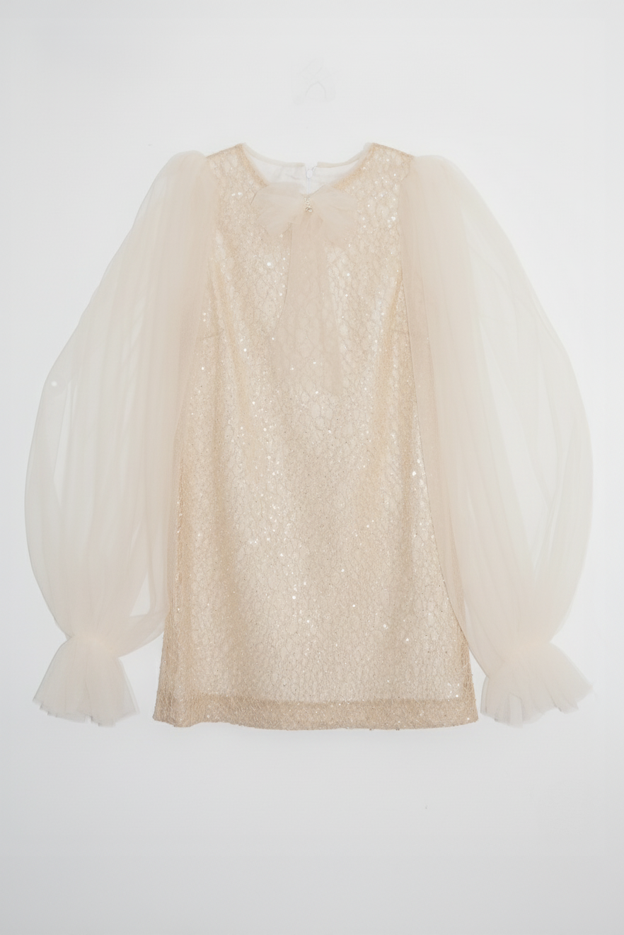 Girls Bishop Tulle Long Sleeve Lace Dress With Detachable Brooch