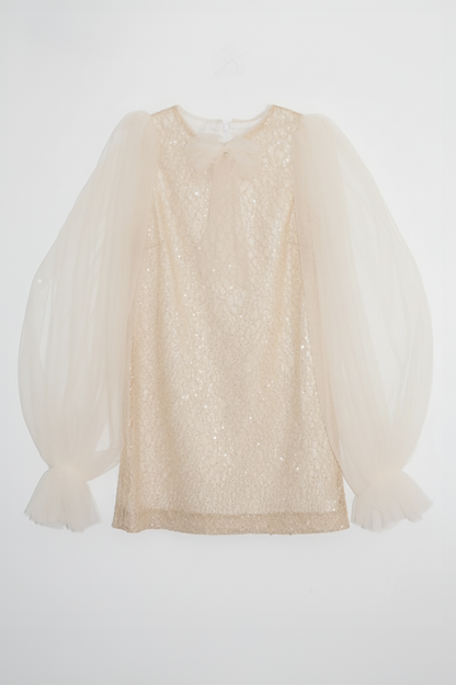 Girls Bishop Tulle Long Sleeve Lace Dress With Detachable Brooch