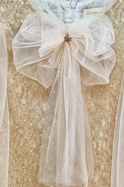 Girls Bishop Tulle Long Sleeve Lace Dress With Detachable Brooch