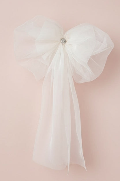 Girls Bishop Tulle Long Sleeve Lace Dress With Detachable Brooch