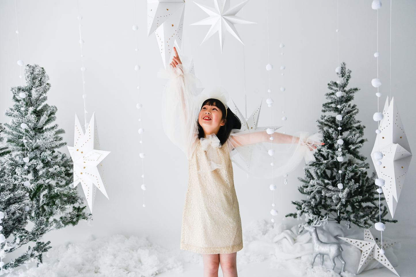 Girls Bishop Tulle Long Sleeve Lace Dress With Detachable Brooch