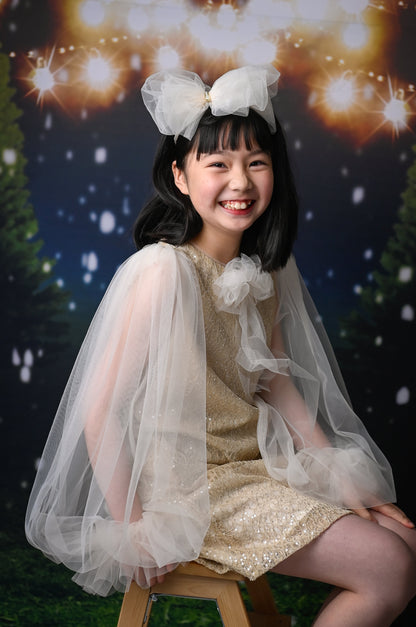 Girls Bishop Tulle Long Sleeve Lace Dress With Detachable Brooch
