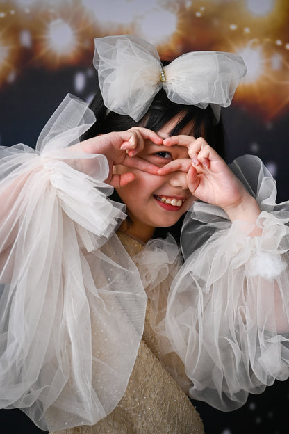 Girls Bishop Tulle Long Sleeve Lace Dress With Detachable Brooch